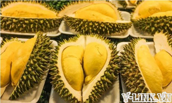 Chuyển phát nhanh sầu riêng từ sân bay Nội Bài đến sân bay Cát Bi