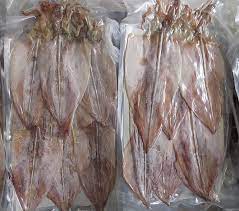 Chuyển phát nhanh khô mực từ sân bay Nội Bài đến sân bay Tân Sơn Nhất