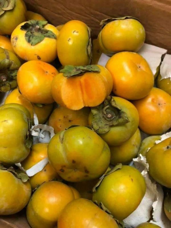 Chuyển phát nhanh hồng giòn từ Đà Lạt đến Hà Nội