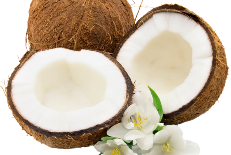 Vận chuyển dừa sáp từ Bến tre đi Sài Gòn nhanh chóng, uy tín