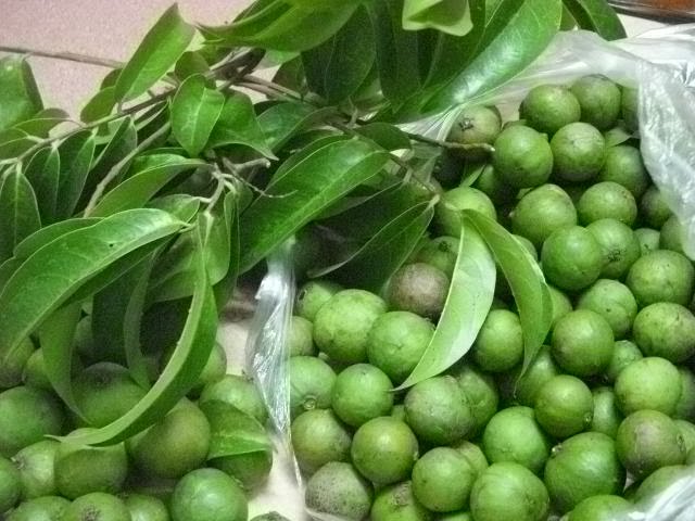 Chuyển phát nhanh quả sấu từ Nội Bài đi Tân Sơn Nhất