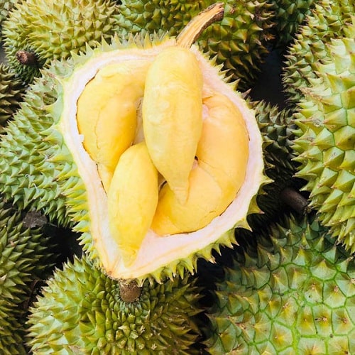 Chuyển phát nhanh sầu riêng từ Nội Bài đến sân bay Phú Quốc