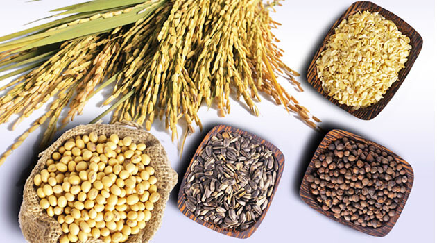 Chuyển phát nhanh ngũ cốc từ Đà Nẵng đi TP.Hồ Chí Minh