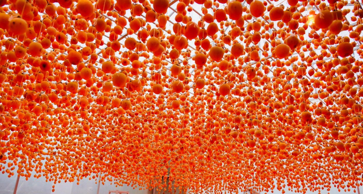 Vận chuyển hồng treo gió từ sân bay Liên Khương đi Nội Bài