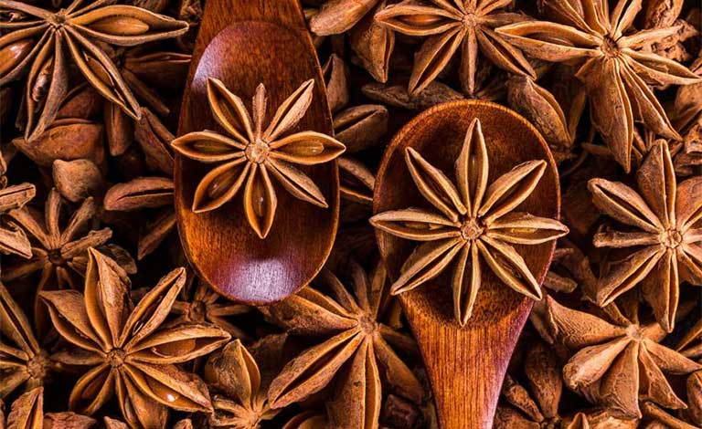 gửi đại hồi từ Cao Bằng đi Singapore