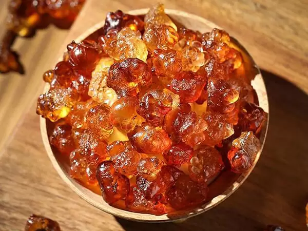 Gửi nhựa đào từ Buôn Mê Thuột đi Hà Nội giá tốt năm 2023