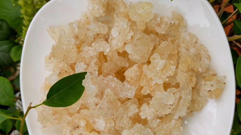 Gửi tuyết yến từ Vinh đi Hà Nội giá tốt số 1 thị trường