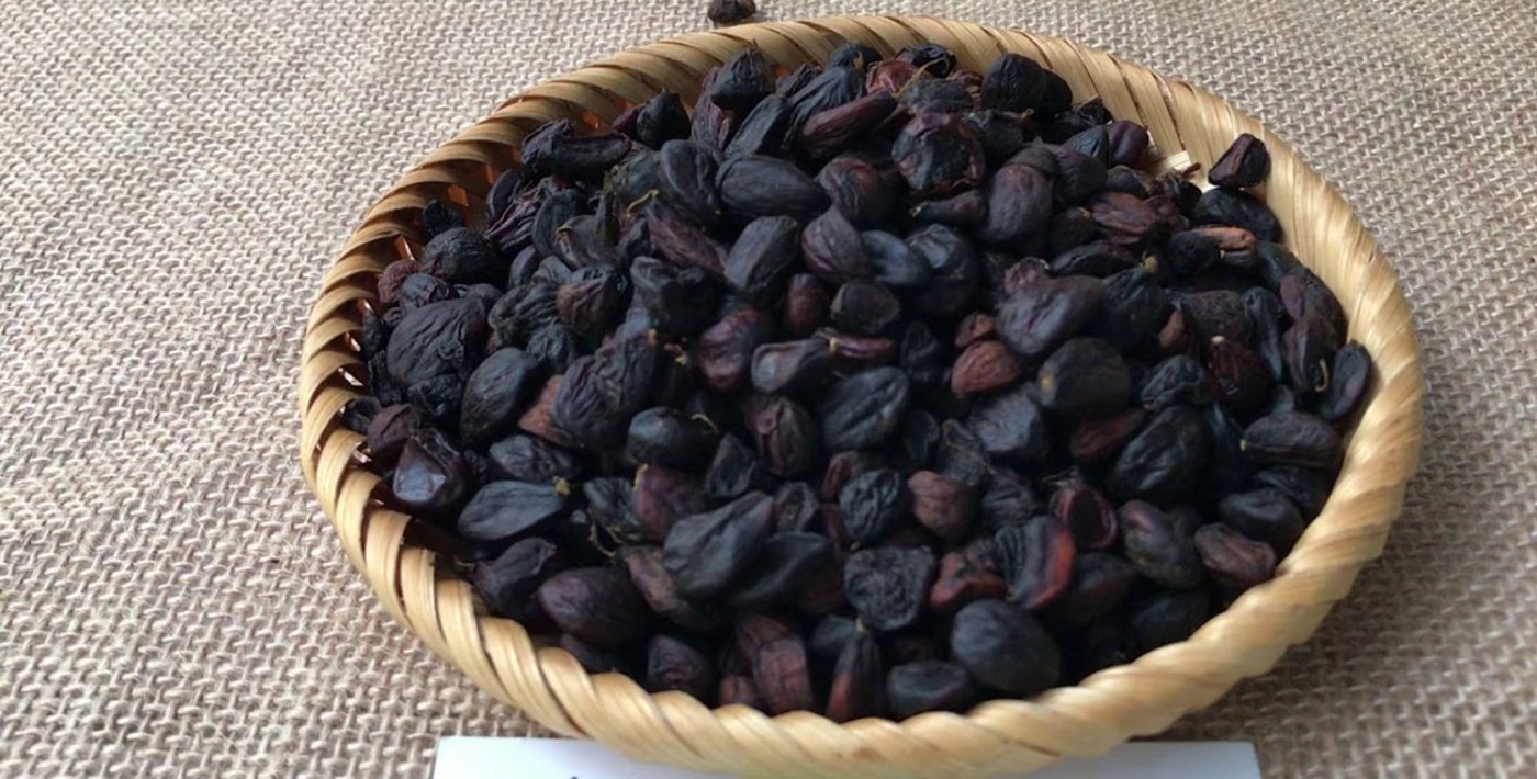 Gửi hạt dổi từ Lai Châu đi Bình Dương uy tín, chất lượng số 1