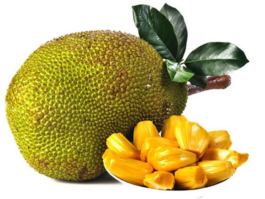 Gửi mít tố nữ Long Khánh từ Đồng Nai đi Hà Nội uy tín số 1