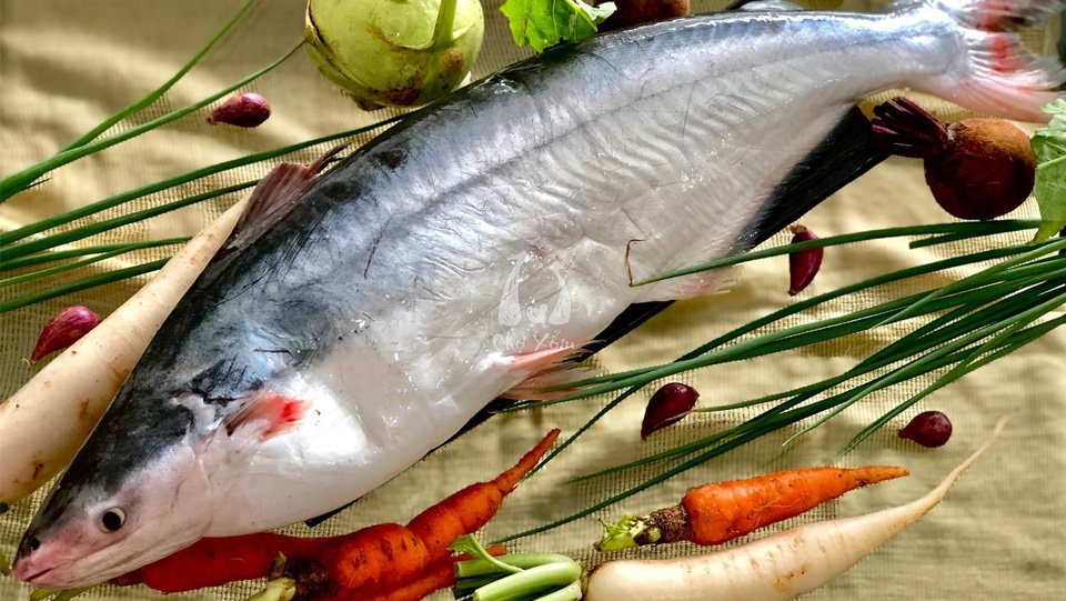 Gửi khô cá dứa từ Cà Mau đi Bình Định uy tín số 1