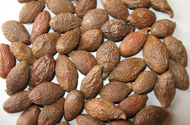 Gửi hạt ươi từ Đồng Nai đi Hà Nội chất lượng số 1