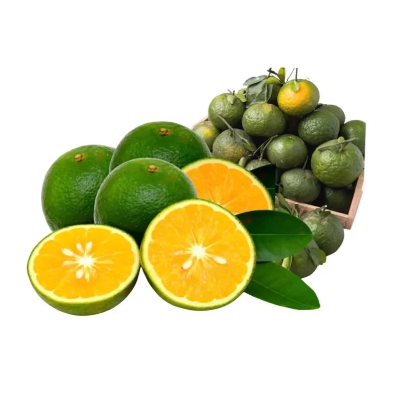 Booking tải cam sành từ Tân Sơn Nhất đi Phú Quốc