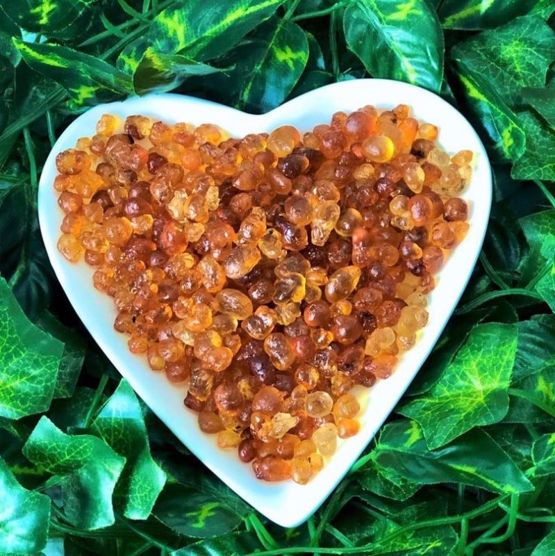 Gửi nhựa đào từ Sài Gòn đi Hà Nội giá tốt số 1